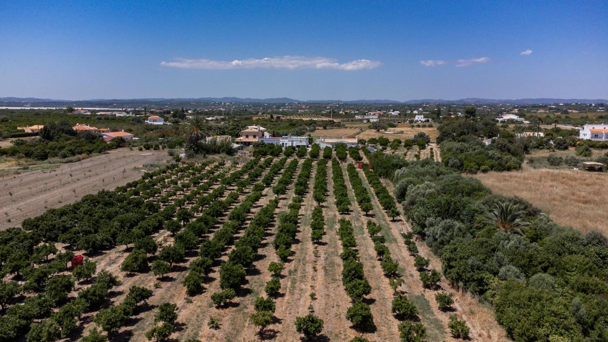 Villa Casa D'Nossa, Casa Tradicional E Moderna, Vista 360º, Piscina De Agua Salgada Luz de Tavira Exterior foto